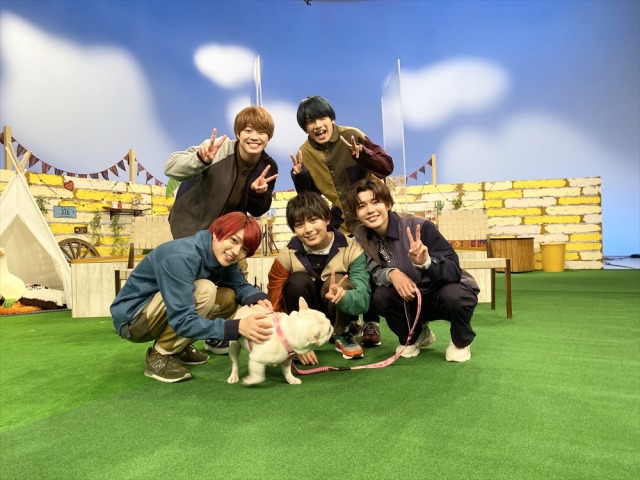 11月12日放送、『どうぶつピース!! 北海道!幻の生物を探せ&スマホ動画密着祭りSP』なにわ男子(西畑大吾、大橋和也、高橋恭平、大西流星、長尾謙杜)がゲスト出演(C)テレビ東京