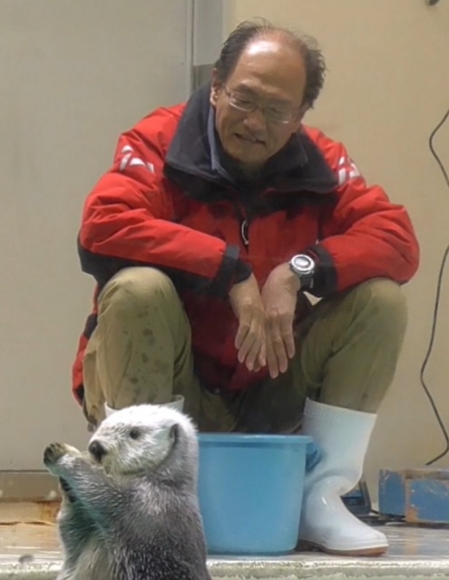 生まれた時からメイちゃんの成長を見守っている石原さん(素材提供:とばちゃん様)