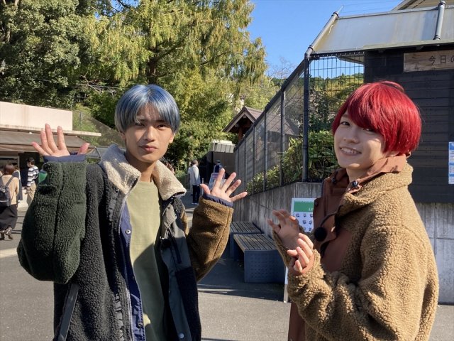 なにわ男子・西畑大吾&高橋恭平が収録に登場=11月15日放送、『緊急SOS!池の水ぜんぶ抜く大作戦』(C)テレビ東京
