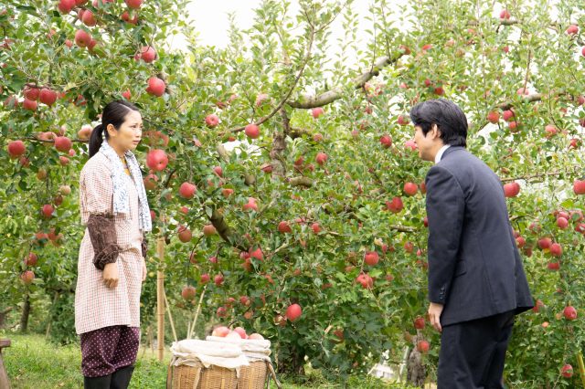 連続テレビ小説『エール』第22週・第110回より。主人公・裕一の弟・浩二(佐久本宝)がついにプロポーズ。お相手はリンゴ農家、畠山家の一人娘・まき子(志田未来)(C)NHK
