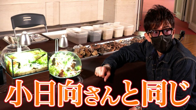 映像配信サービス「GYAO!」の番組『木村さ~~ん!』第142回の模様(C)Johnny&Associates