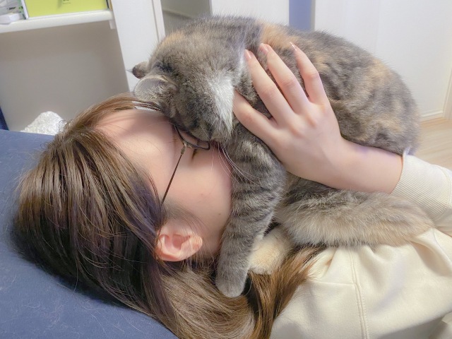 猫好きから5.1万いいねが寄せられた「猫吸い」の様子(画像提供:子猫のふうこ)