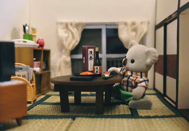 ステイホームするコアラのお父さん(画像提供:KanaFettさん)