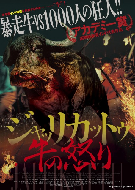 インド映画『ジャッリカットゥ 牛の怒り』7月17日よりシアター・イメージフォーラムほかで順次公開 (C)2019 Jallikattu