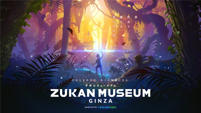 体験型デジタルミュージアム『ZUKAN MUSEUM GINZA』の開業が発表