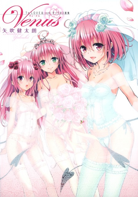 『To LOVEる―とらぶる― ダークネス画集 Venus』の書影