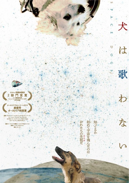 未知の映像美と残酷な現実が鑑賞者を犬の世界へと誘うドキュメンタリー映画『犬は歌わない』6月12日公開 (C)Raumzeitfilm
