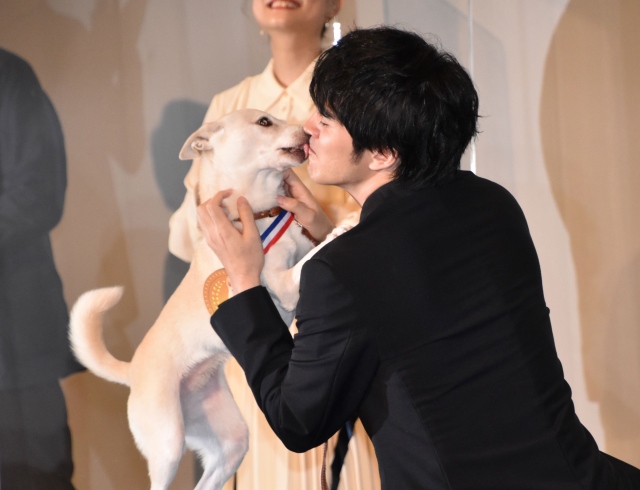 バディ犬・ちえから“熱烈キス”を受ける林遣都 (C)ORICON NewS inc.