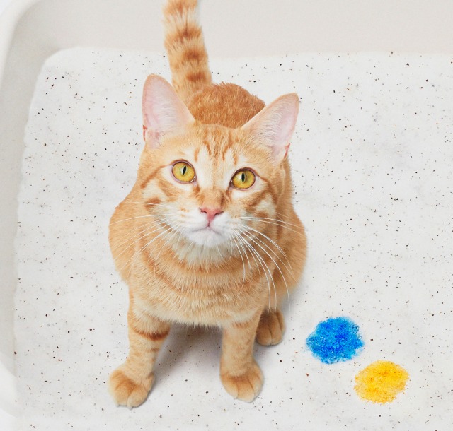 毎日の尿検査で健康状態をチェックできる猫砂『しぐにゃる』