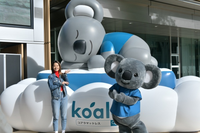 『コアラ・ラ・ランド♪』に来場した、すみれ
