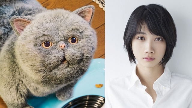 おじさまと猫 ふくまるとそっくりな猫 マリン役で松本穂香が声の出演 秋田魁新報電子版