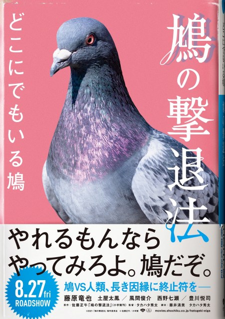 オリコンニュース 藤原竜也 主役の座を鳩に奪われた エイプリルフール限定フェイクビジュアル 南日本新聞 373news Com