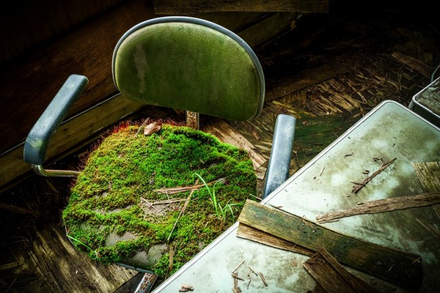 その他 ラピュタのよう 廃校に取り残された 苔の生えた椅子 が話題 廃墟ファン 増加を実感