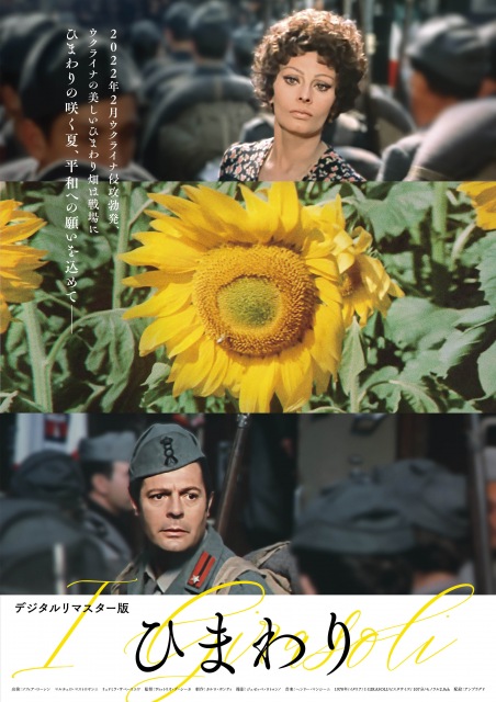 イタリア映画『ひまわり　デジタルリマスター版』日本語吹替版の上映決定。7月28日から全国順次公開の画像