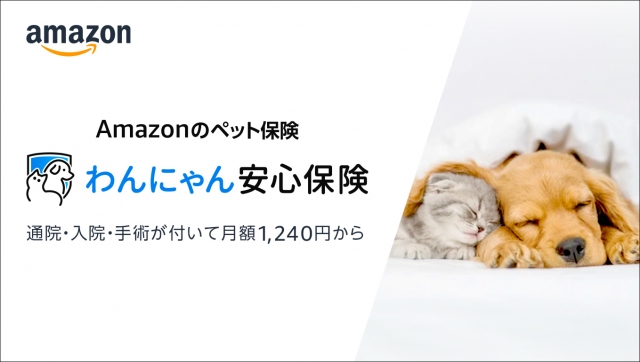 Amazonが「ペット保険」開始、8歳11ヶ月までの犬・猫が対象 | ORICON