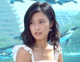 小島瑠璃子、来年から中国の大学に留学へ「28歳、一度ゼロからチャレンジ」