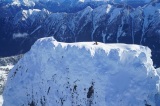 映画『アルピニスト』猛暑をしばし忘れる　雪山で危険なクライミングを追体験