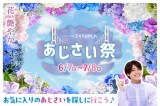 松島聡（timelesz）がイメージキャラクターを務める三島スカイウォークの 「あじさい祭」が2025年6月7日～7月8日限定開催