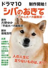 ドラマ10『シバのおきて～われら犬バカ編集部～』制作開始 （C）NHK