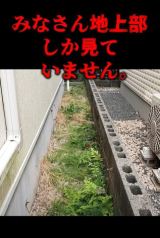 手入れはされていないものの、一見、普通に見える裏庭。ところが…