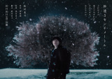 松村北斗主演『秒速5センチメートル』10月10日放送へ （C）松村北斗主演『秒速5センチメートル』